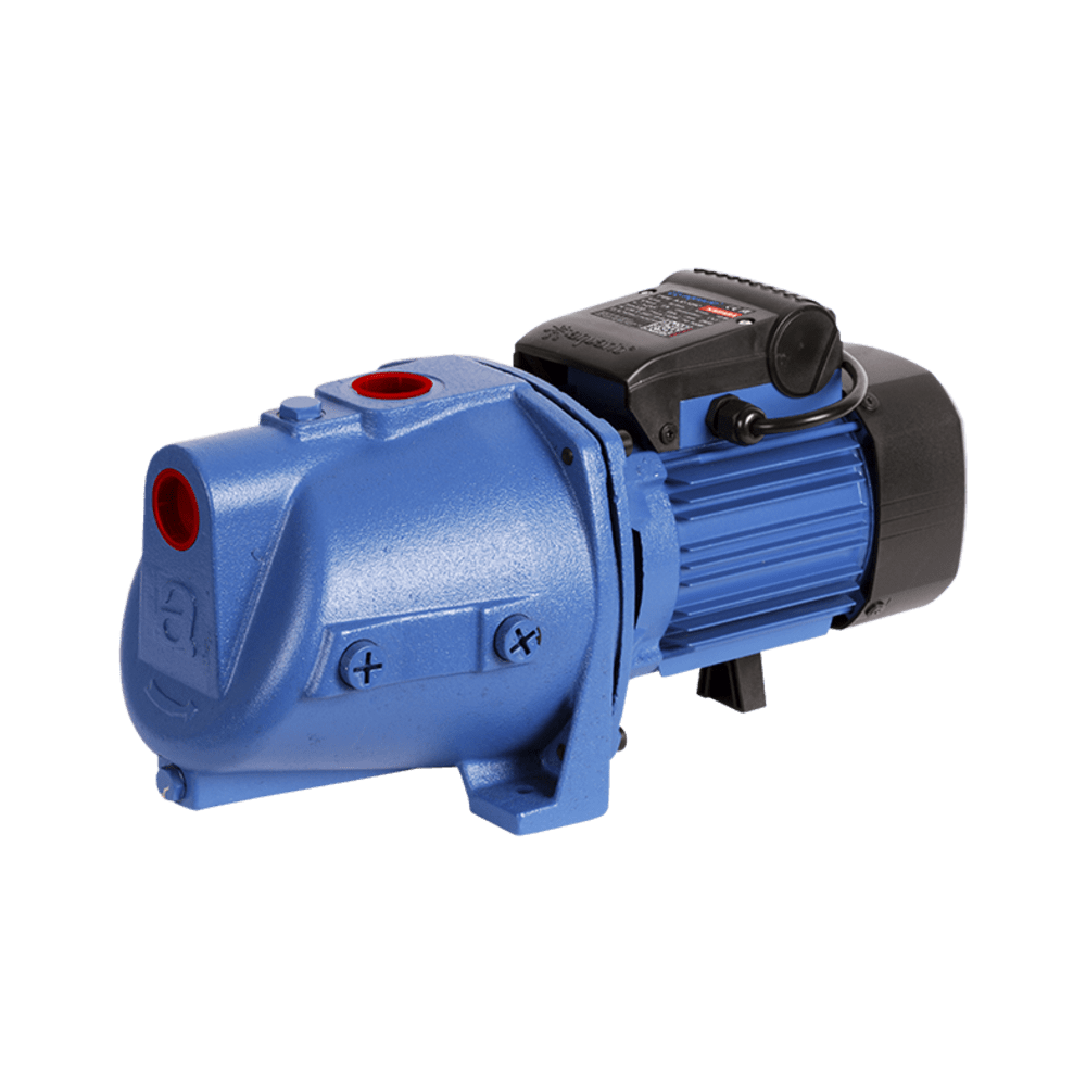 00-00031851_1 00-00031851_1