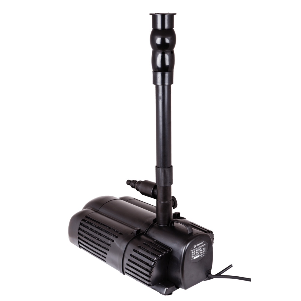 00-00031866_1 00-00031866_1